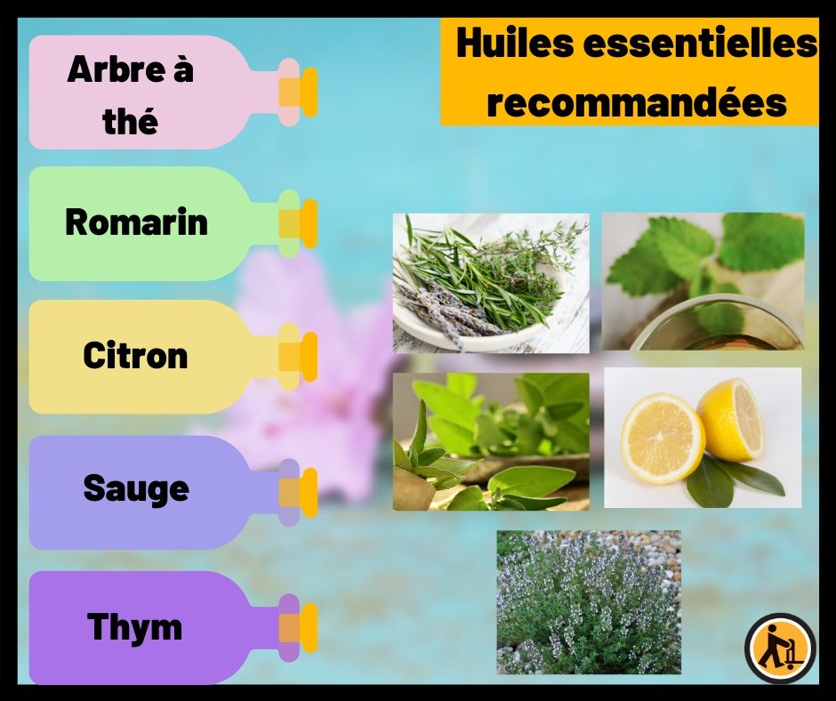 huiles essentielles malade