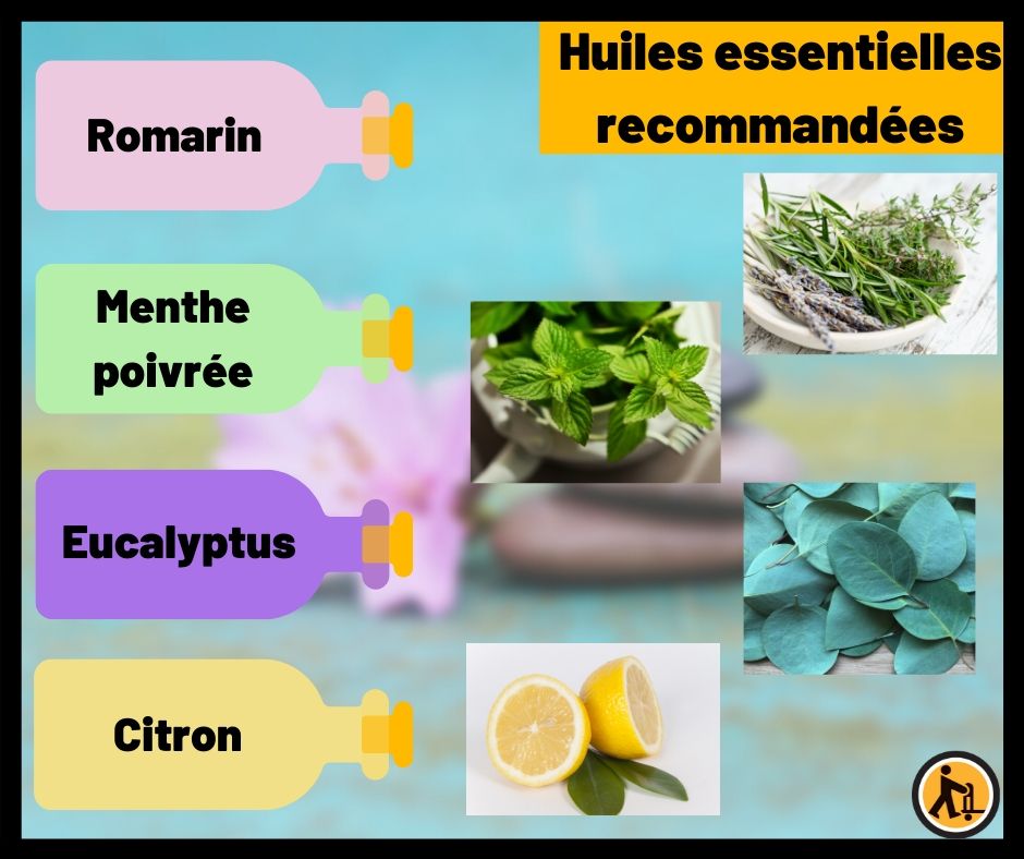 huiles essentielles respirer