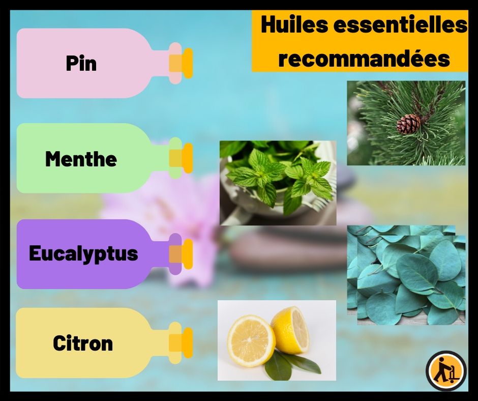 huiles essentielles fonction cognitives