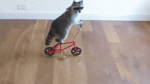 trottinette